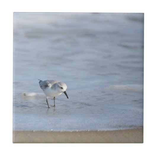 Einzelner Strandläufer am Strand entlanglaufend Fliese (Vorderseite)