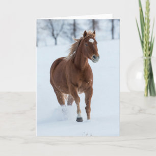 Einzelnes Pferd läuft im Schnee Karte