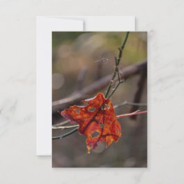 Einzelnes rotes Blatt Dankeskarte