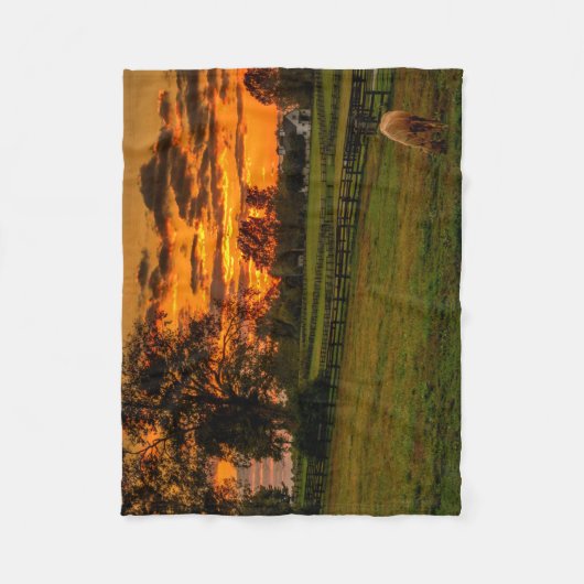 Einzelpferd bei Sonnenuntergang Fleecedecke (Vorderseite)