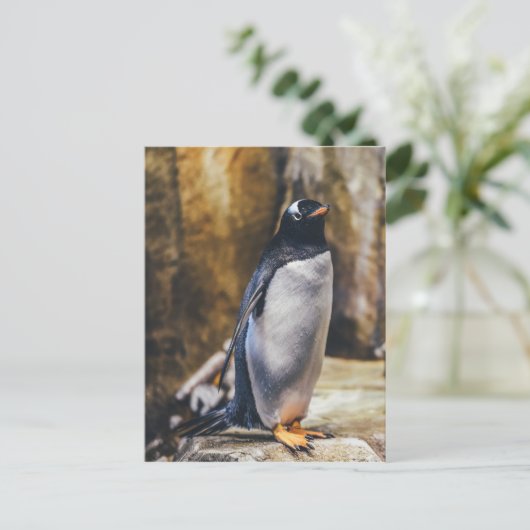 Einzelpinguin-Postkarte Postkarte (Stehend Vorderseite)