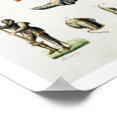 Einzelteile einer Ritterrüstung, Teller 15 für Poster (Ecke)