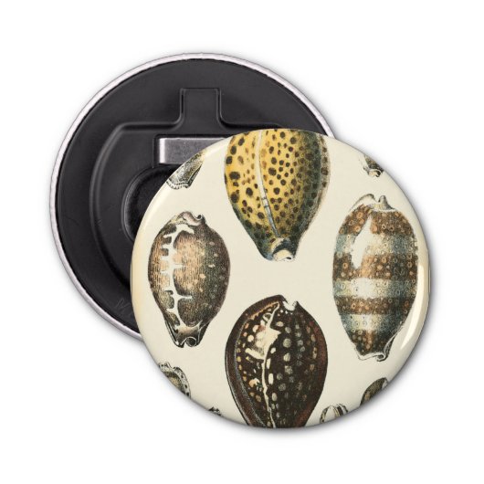 Einzigartig geformte Muscheln Flaschenöffner (Vorderseite)