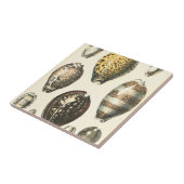 Einzigartig geformte Muscheln Fliese (Seite)