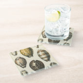 Einzigartig geformte Muscheln Glasuntersetzer (Schrägansicht)