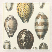 Einzigartig geformte Muscheln Glasuntersetzer (Vorderseite)