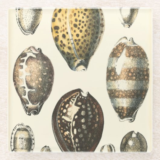 Einzigartig geformte Muscheln Glasuntersetzer (Vorderseite)