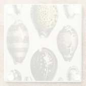Einzigartig geformte Muscheln Glasuntersetzer (Rückseite)