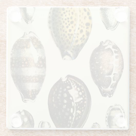 Einzigartig geformte Muscheln Glasuntersetzer (Rückseite)