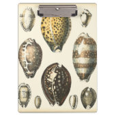 Einzigartig geformte Muscheln Klemmbrett (Vorderseite)