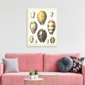 Einzigartig geformte Muscheln Leinwanddruck (Insitu (Wohnzimmer))