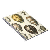 Einzigartig geformte Muscheln Notizblock (Rechte Seite)
