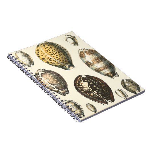 Einzigartig geformte Muscheln Notizblock (Rechte Seite)