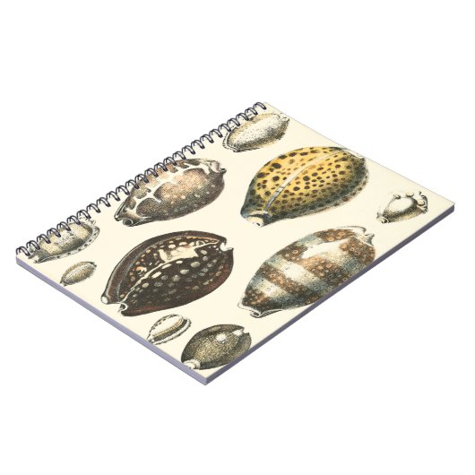 Einzigartig geformte Muscheln Notizblock (Linke Seite)
