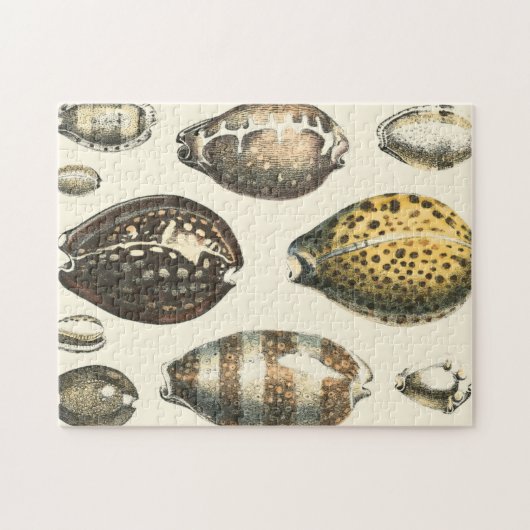 Einzigartig geformte Muscheln Puzzle (Horizontal)