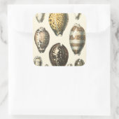 Einzigartig geformte Muscheln Quadratischer Aufkleber (Tasche)