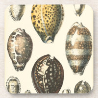 Einzigartig geformte Muscheln