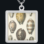 Einzigartig geformte Muscheln Versilberte Kette<br><div class="desc">Entdecken Sie den warmen Sand und die versteckten Schätze! Dieses Gemälde von Kobeit fängt das schöne Wasserleben an,  das an Land gefunden wurde. Kobeit fängt die schöne Auswahl an sepiatfarbenen Muscheln in einem Vintagen Ton ein. Holen Sie sich heute Ihre schöne Meereskunst auf Ihrem nächsten Zazzle-Produkt.</div>