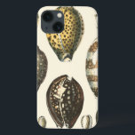 Einzigartig geformte Seashells iPhone 13 Hülle<br><div class="desc">Breiten Sie auf dem warmen Sand aus und finden Sie die versteckten Schätze! Diese Malerei von Kobeit, nimmt er das schöne Wasserleben gefangen, das an Land gefunden wird. Kobeit nimmt die schöne Reihe der Sepia getonten Seashells in einem Vintagen Ton gefangen. Erhalten Sie Ihre schöne Ozeankunst heute auf Ihrem folgenden...</div>