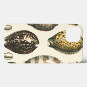 Einzigartig geformte Seashells Case-Mate iPhone Hülle (Rückseite (Horizontal))