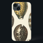 Einzigartig geformte Seashells iPhone 13 Hülle<br><div class="desc">Breiten Sie auf dem warmen Sand aus und finden Sie die versteckten Schätze! Diese Malerei von Kobeit, nimmt er das schöne Wasserleben gefangen, das an Land gefunden wird. Kobeit nimmt die schöne Reihe der Sepia getonten Seashells in einem Vintagen Ton gefangen. Erhalten Sie Ihre schöne Ozeankunst heute auf Ihrem folgenden...</div>
