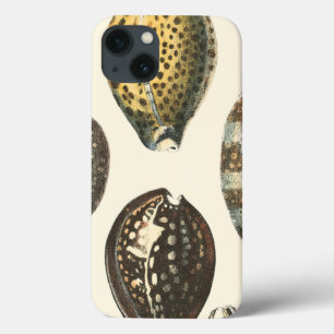Einzigartig geformte Seashells iPhone 13 Hülle