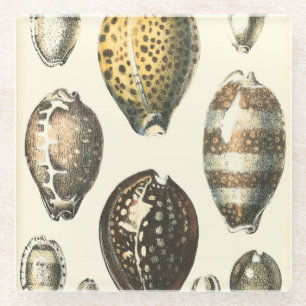 Einzigartig geformte Seashells Glasuntersetzer
