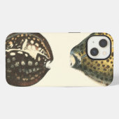Einzigartig geformte Seashells iPhone Hülle (Rückseite (Horizontal))