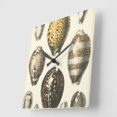 Einzigartig geformte Seashells Quadratische Wanduhr (Winkel)