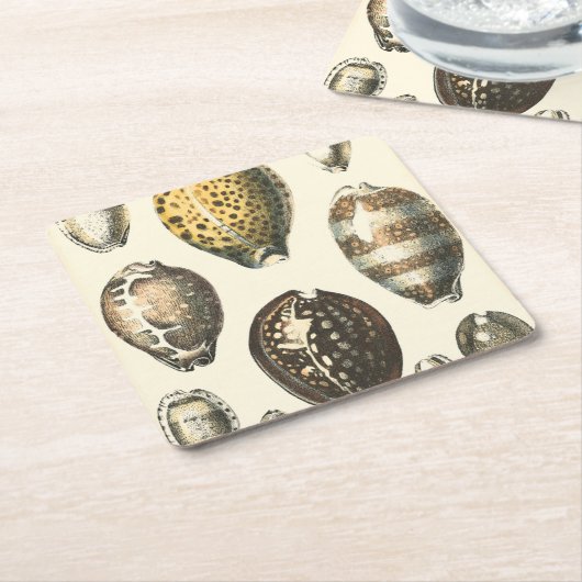 Einzigartig geformte Seashells Rechteckiger Pappuntersetzer (angewinkelt)