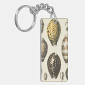 Einzigartig geformte Seashells Schlüsselanhänger (Vorderseite links)