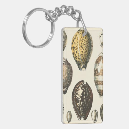 Einzigartig geformte Seashells Schlüsselanhänger (Vorderseite links)