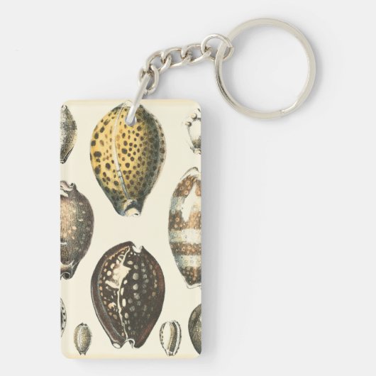 Einzigartig geformte Seashells Schlüsselanhänger (Rückseite)