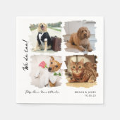 Einzigartige 4 Fotos wir tun zu Hauskatzen Hunde H Serviette (Vorderseite)