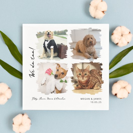 Einzigartige 4 Fotos wir tun zu Hauskatzen Hunde H Serviette