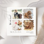 Einzigartige 4 Fotos wir tun zu Hauskatzen Hunde H Serviette