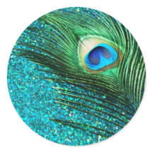 Einzigartige Aqua Peacock