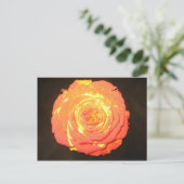 Einzigartige - eine Rose mögen nicht andere - Postkarte (Stehend Vorderseite)