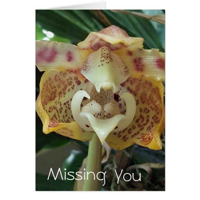 Einzigartige gelbe Blumen-Missing-You-Karte (Vorne)