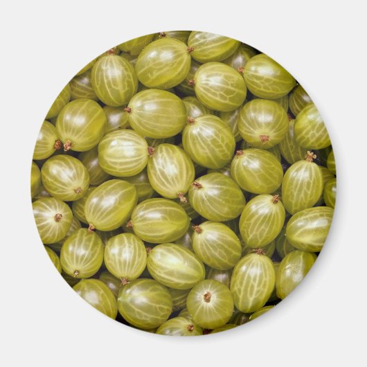 Einzigartige grüne Stachelbeeren Magnet (Vorne)