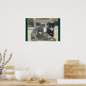 Einzigartige Katzen Poster (Küche)