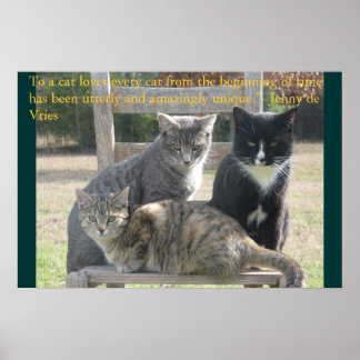 Einzigartige Katzen Poster