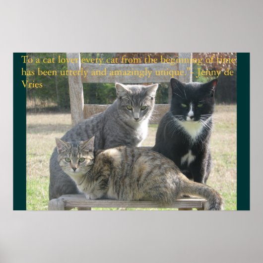 Einzigartige Katzen Poster (Vorne)
