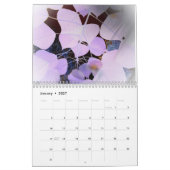 Einzigartige kreative Fotobearbeitungen Originale Kalender (Jan 2027)