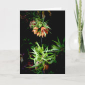 Einzigartige Mitteilungskarten der Kronenkirche im (Vorderseite)