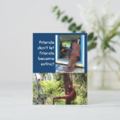 Einzigartige Orangutan-Fotografien Postkarte (Stehend Vorderseite)