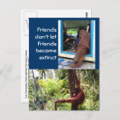 Einzigartige Orangutan-Fotografien Postkarte (Vorne/Hinten)