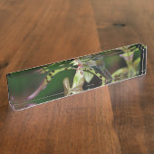 Einzigartige Orchidee Namensplakette (Seite)