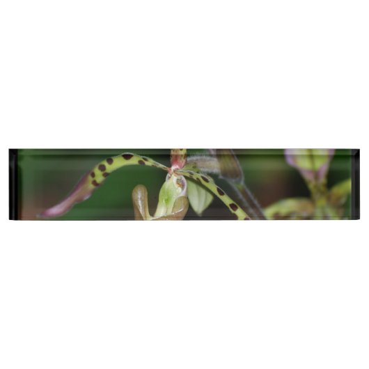 Einzigartige Orchidee Namensplakette (Vorderseite)