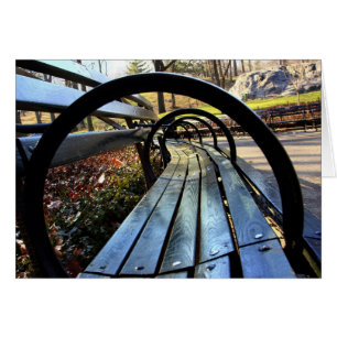 Einzigartige Parkbank, Central Park, NYC